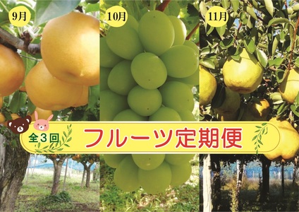 【定期便：全３回】アルコアーナ農園のフルーツ定期便Ｃコース（和梨、シャインマスカット、ラ・フランス）　0148-2606