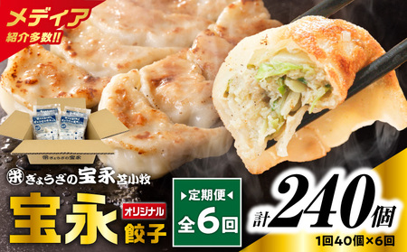 【 全6回 定期便 （ 毎月 ） 】 宝永 餃子 10個入 セット （ 宝永餃子 10個入 × 4袋 ） 合計 1.0kg T004-T03-04 惣菜 総菜 加工食品