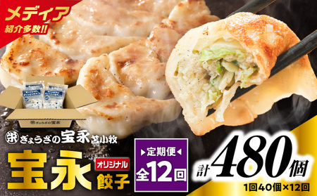 【 全12回 定期便 （毎月 ） 】 宝永 餃子 10個入 セット （ 宝永餃子 10個入 × 4袋 ） 合計 1.0kg T004-T03-05 惣菜 総菜 加工食品