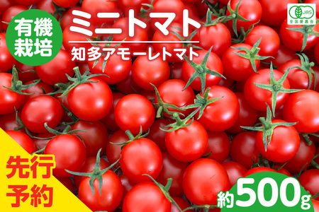 【先行予約】有機栽培ミニトマト　知多アモーレトマト　約500g
