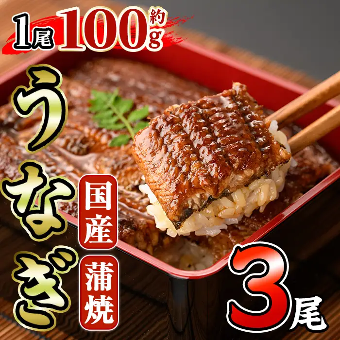 国産 うなぎ 蒲焼 (約100g×3尾) 小分け 真空パック 【AW-95】【丸正水産】