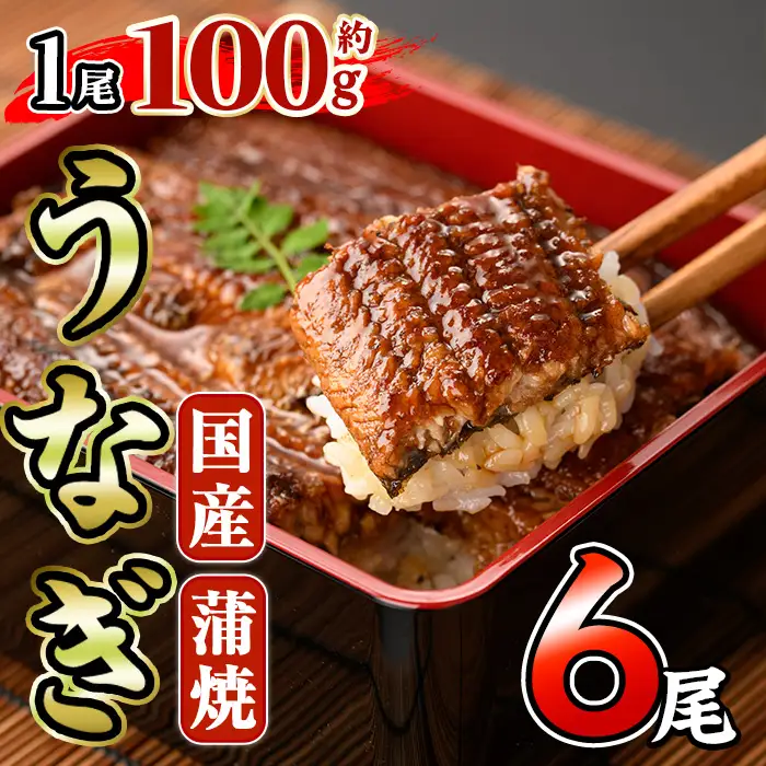 国産 うなぎ 蒲焼 (約100g×6尾) 鰻 タレ かば焼き うな重 うな丼 ひつまぶし 小分け 真空包装 真空パック 【AW-96】【丸正水産】