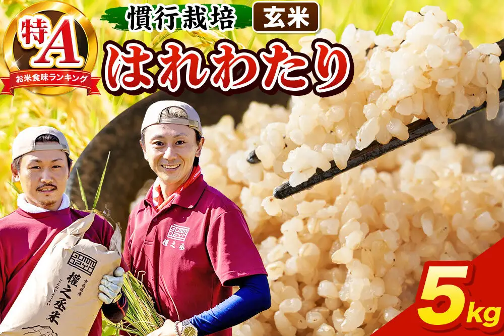 米 はれわたり 5kg［玄米］特A 慣行栽培 青森県産 令和7年産
