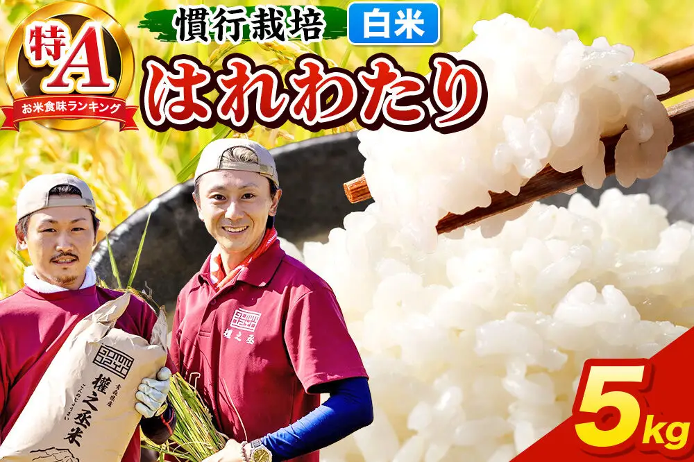 米 はれわたり 5kg［白米］特A 慣行栽培 青森県産 令和7年産