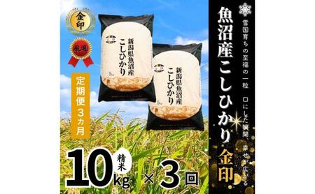 【定期便全3回毎月発送】魚沼産コシヒカリ金印(精米)10kg 米 こしひかり 定期 新潟 十日町市