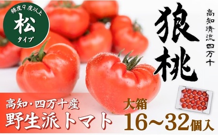 【先行予約／2027年3月中旬から発送】四万十育ち「狼桃」 糖度9度以上 松タイプ 大箱（16～32個入）Fdf-A12 フルーツ トマト とまと 野菜 数量限定 期間限定 