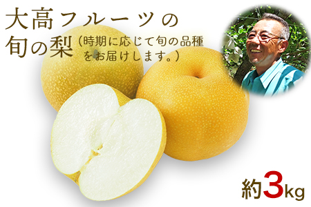 大高フルーツの旬の梨(幸水/豊水/秋麗/あきづき/甘太/新高)★約3kg(5-12玉前後) 予約受付中 フルーツ 秋 旬★熊本県玉名郡玉東町 《8月中旬-10月上旬頃出荷》｜ブランド梨 人気梨 特産品梨 熊本県梨 玉東町梨 大人気返礼品 