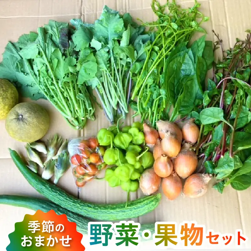 S096-004_季節のおまかせ野菜と果物セット　