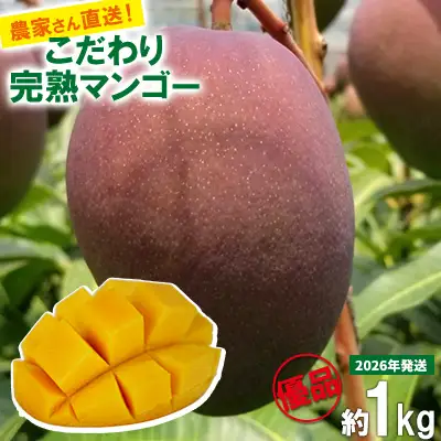 【2026年発送先行予約】こだわりのアップルマンゴー　優品1kg　ふるいっと 数量限定 名護市 沖縄 フルーツ くだもの 果物 南国 スイーツ デザート 人気 おすすめ ギフト プレゼント 期間限定 おきなわ アップルマンゴー 優品 贈り物 大自然 お取り寄せ