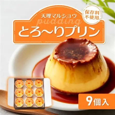 天理マルショウ とろ～りプリン　9個入【配送不可地域：離島】【1687618】