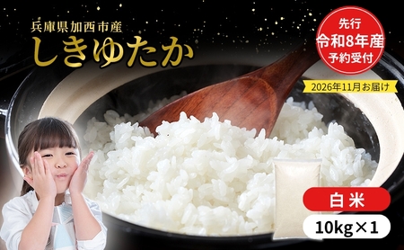 【令和8年産 先行受付】しきゆたか 白米 10kg《2026年11月発送》