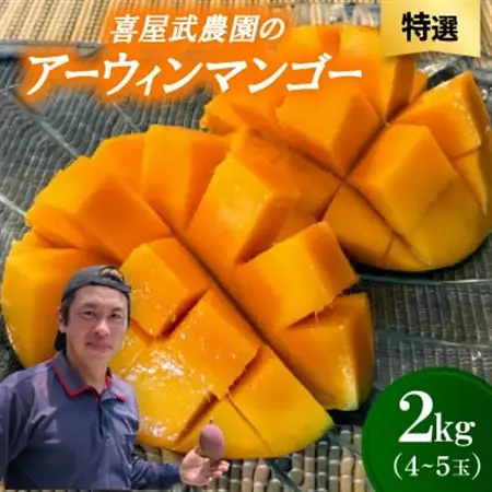 【先行受付・2026年6月から順次発送・特選】喜屋武農園のアーウィンマンゴー2kg(4～5玉)【配送不可地域：離島】【1694607】