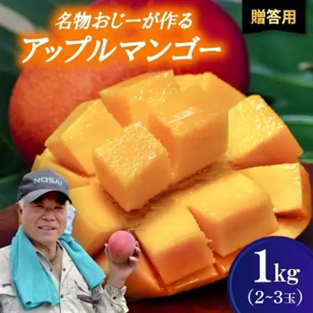 【2026年7月から順次発送・贈答用】名物おじーが作るアップルマンゴー1kg(2～3玉)【配送不可地域：離島】【1694660】