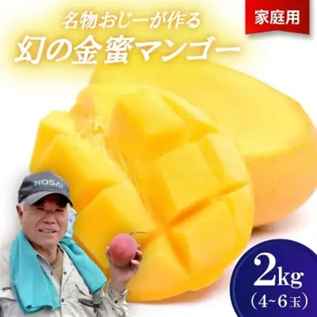 【2026年7月から順次発送・家庭用】名物おじーが作る幻の金蜜マンゴー2kg(4～6玉)【配送不可地域：離島】【1694702】