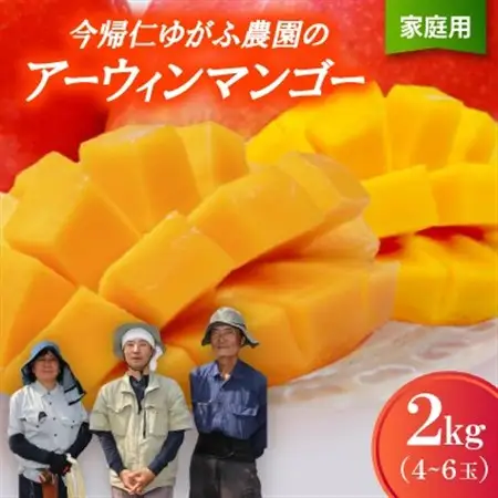 【2026年7月から順次発送・家庭用】今帰仁ゆがふ農園のアーウィンマンゴー2kg(4～6玉)【配送不可地域：離島】【1694708】