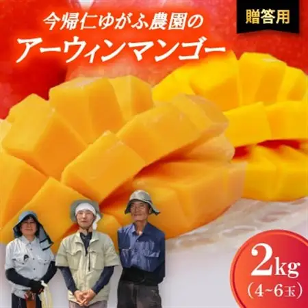 【2026年7月から順次発送・贈答用】今帰仁ゆがふ農園のアーウィンマンゴー2kg(4～6玉)【配送不可地域：離島】【1694712】