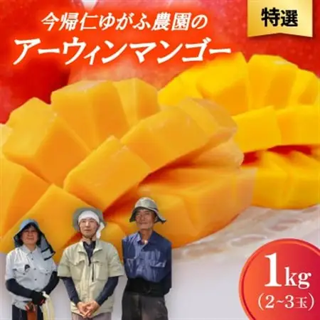 【2026年7月から順次発送・特選】今帰仁ゆがふ農園のアーウィンマンゴー1kg(2～3玉)【配送不可地域：離島】【1694714】