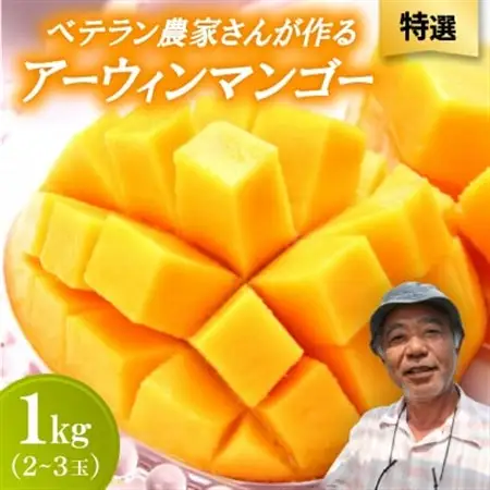 【2026年7月から順次発送・特選】ベテラン農家さんが作る アーウィンマンゴー1kg(2～3玉)【配送不可地域：離島】【1695292】