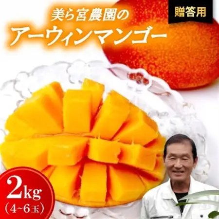 【2026年7月から順次発送・贈答用】美ら宮農園のアーウィンマンゴー2kg(4～6玉)【配送不可地域：離島】【1695311】