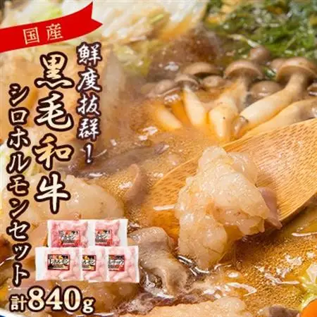 国産黒毛和牛シロホルモンセット　840g A3-383【配送不可地域：離島】【1694678】