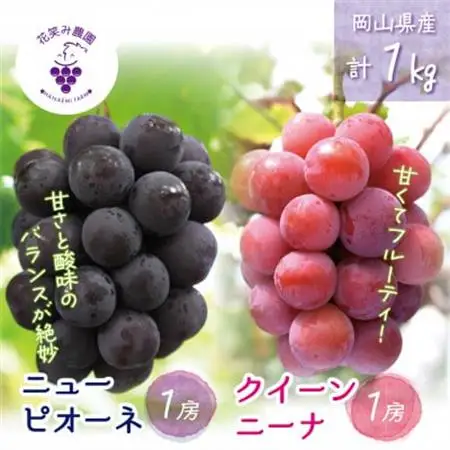 岡山　花笑み農園の『ニューピオーネ＆クイーンニーナ』1kg(2房)PQ-1【配送不可地域：離島】【1693657】