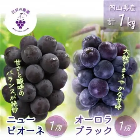 岡山　花笑み農園の『ニューピオーネ＆オーロラブラック』1kg (2房) PA-1【配送不可地域：離島】【1693658】