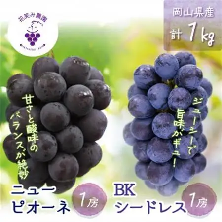岡山　花笑み農園の『ニューピオーネ＆BKシードレス』1kg(2房)PB-1【配送不可地域：離島】【1693661】