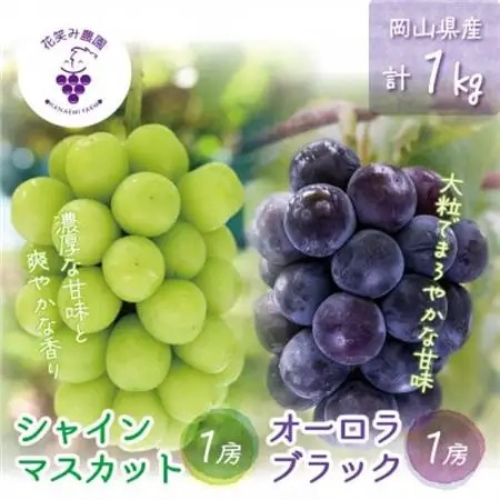 岡山　花笑み農園の『オーロラブラック＆シャインマスカット』1kg AS-1【配送不可地域：離島】【1693690】