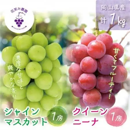 岡山　花笑み農園の『クイーンニーナ＆シャインマスカット』1kg　QS-1【配送不可地域：離島】【1693696】