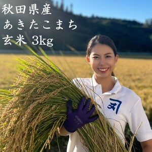 【米農家直送】令和7年産 特Aランク 厳選 秋田県産 あきたこまち 玄米 3kg 【(株)鈴木又五郎商店】[B2312]