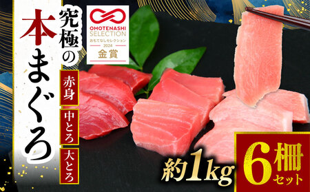 本マグロ 大トロ 中トロ 赤身 3種 セット 1kg まぐろ トロ 刺身 さしみ 刺し身 鮮魚 まぐろ赤身 鮪 魚介 魚 マグロ 漬け ユッケ 海鮮丼 国産 養殖まぐろ 高級 養殖 人気 寿司 本鮪 お正月 冷凍 高知 宿毛 冊 ギフト ごちそう