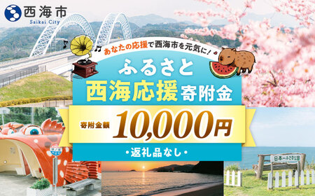 【返礼品なし】 長崎県 西海市 ふるさと応援寄附金（1万円分）【長崎県西海市】[CZZ033]