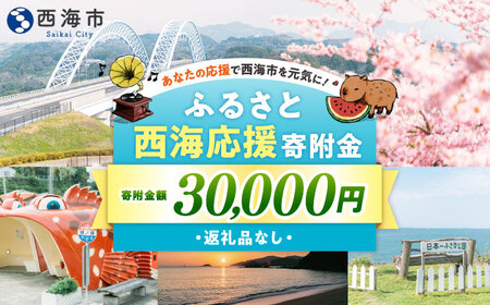 【返礼品なし】 長崎県 西海市 ふるさと応援寄附金（3万円分）【長崎県西海市】[CZZ034]