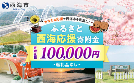 【返礼品なし】 長崎県 西海市 ふるさと応援寄附金（10万円分）【長崎県西海市】[CZZ036]