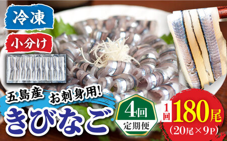 【4回定期便】五島産 刺身用きびなご 20尾×9P 五島市/鯛福丸水産[PDP016]