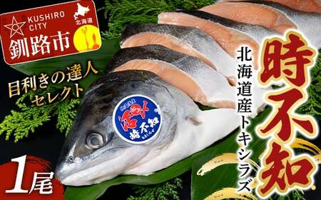 【目利きの達人セレクト】天然 時不知 （トキシラズ） 白鮭 1尾 希少 初夏の鮭 脂のり抜群 時鮭 鮭 海鮮 魚 鮮魚 さけ サケ しゃけ シャケ 時不知 ときしらず 北海道 釧路市 F5F-0073