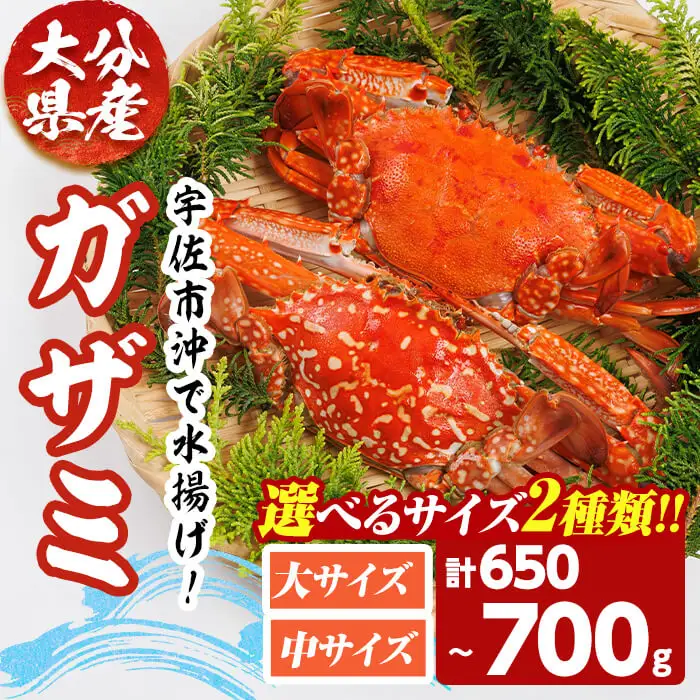 あおがざみ(計650g~700g・中サイズ) ワタリガニ　蟹 ボイル 海鮮 かに 冷凍 【101901900】【上野水産】