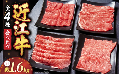 近江牛 すきしゃぶ・焼肉セット1.6kg [AQDB033] 近江牛