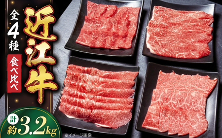 近江牛 すきしゃぶ・焼肉セット3.2kg [AQDB034] 牛肉 焼肉