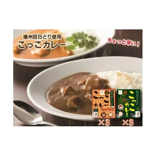 すぎはら川 こっこカレー レトルトカレー オリジナル アジアン風味 常温 温めるだけ 播州百日どり 非常食 アウトドア キャンプ飯 お手軽[270]