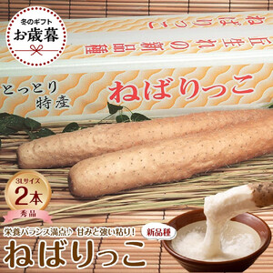 744.【2026年お歳暮　のし付】【先行予約】【ＪＡ】ねばりっこ　秀3Ｌ×2本　※着日指定不可　※離島への配送不可　※順次発送予定