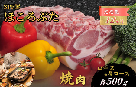【12ヶ月定期便】千葉県産 下山農場 SPF豚 「 ほころぶた 」（ 焼き肉用 ） ／ SPF豚 豚肉 ほころぶた 焼き肉 焼肉 ロース 肩ロース 定期便