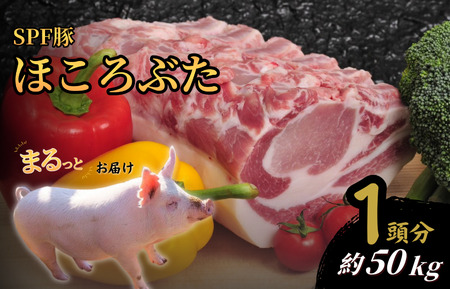 1頭分お届け　千葉県産 下山農場 SPF豚 「 ほころぶた 」 ／ SPF豚 豚肉 ほころぶた 1頭分 バラ ロース 肩ロース ヒレ うで もも
