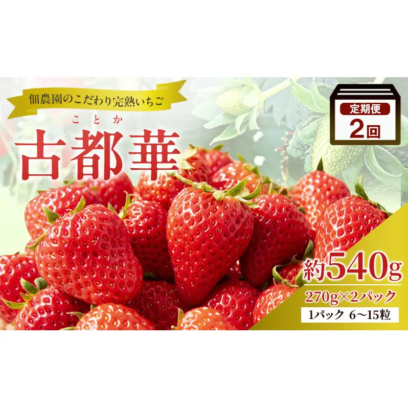 先行予約 【2回定期便】いちご 完熟 古都華 約540g(270g×2パック ) 奈良 ブランド イチゴ フルーツ ことか BN001