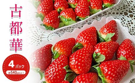 先行予約 いちご 古都華 約270g ×4パック フルーツ 果物 旬 産地直送 旬のフルーツ 旬の果物 お取り寄せ おやつ デザート 希少 ことか 苺 冷蔵 冷蔵配送 奈良 奈良県 BN001