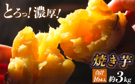 焼き芋 3kg 16本入り　【 焼き芋  さつまいも イモ類 】