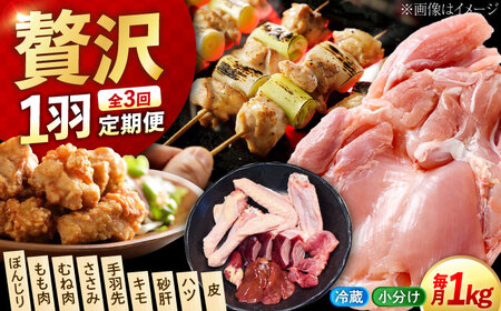 【全3回】鶏肉 一黒シャモ 約1kg [XAH005] 鶏肉