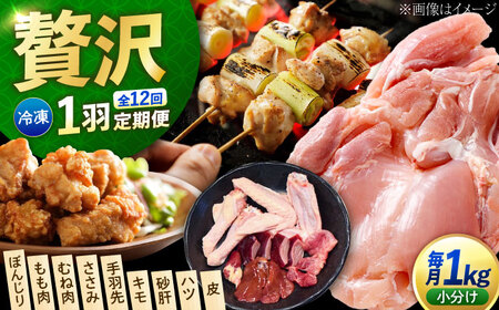 【全12回】鶏肉 一黒シャモ 1kg 冷凍 [XAH010] 鶏肉