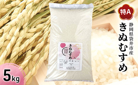 お米 きぬむすめ(特A) 5kg 米 コメ きぬむすめ 精米 白米 ふっくら つやつや 甘み お弁当 おにぎり 袋井市 静岡県