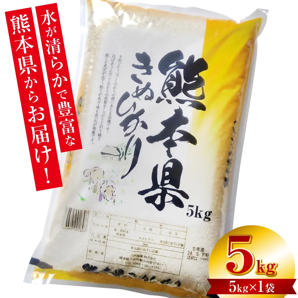 【令和7年産】 熊本県産 きぬひかり 5kg（5kg×1袋） 米 お米 精米 白米 ごはん ご飯 熊本